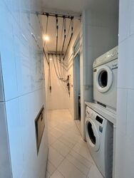 The Chuan (D19), Condominium #553337921